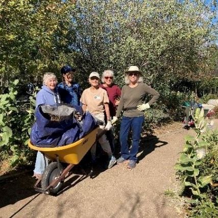 Several women stand next to a wheelbarrow full of weeds