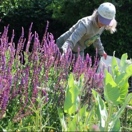 Supporting Garden Volunteer