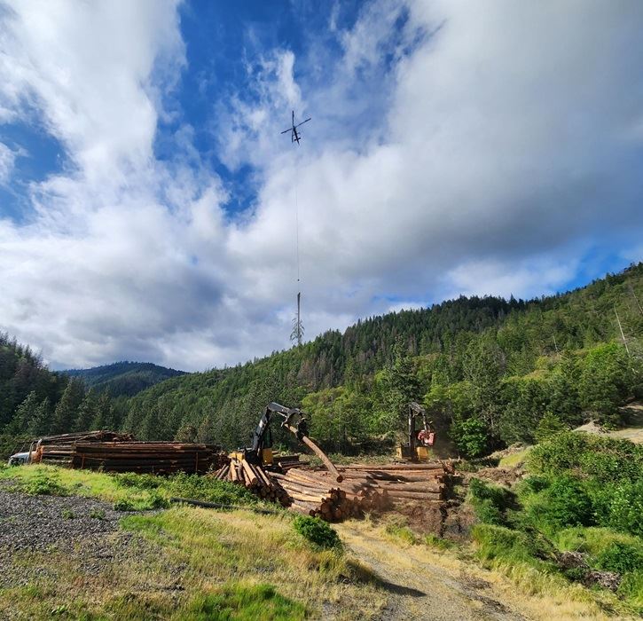 Helicopter logging in the Ashland Watershed