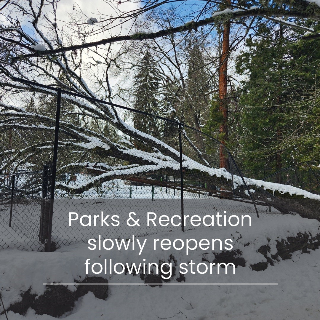 Parks and Recreation reopens slowly - downed tree in photo 