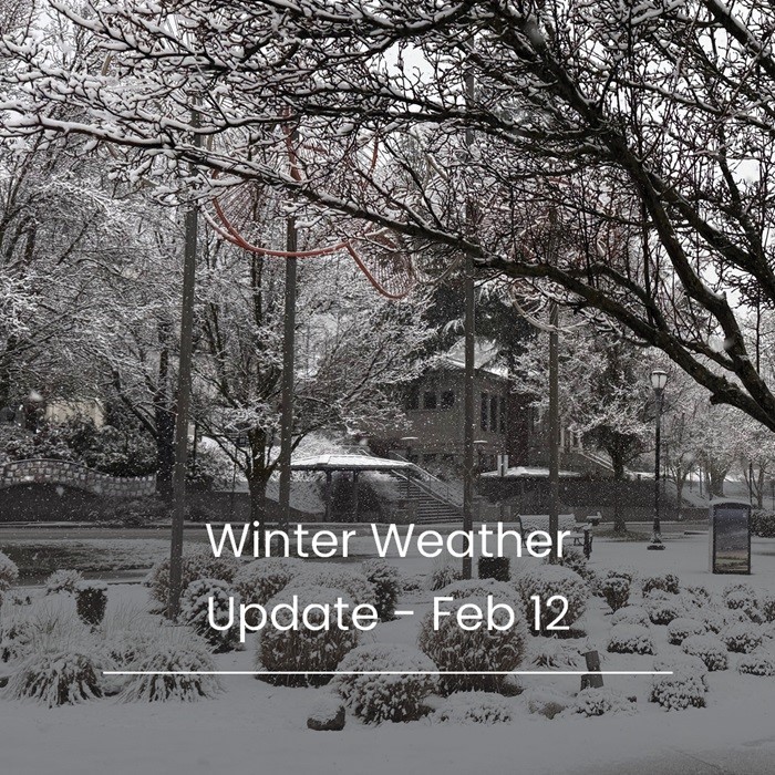 Winter Weather Update - snowy scene 