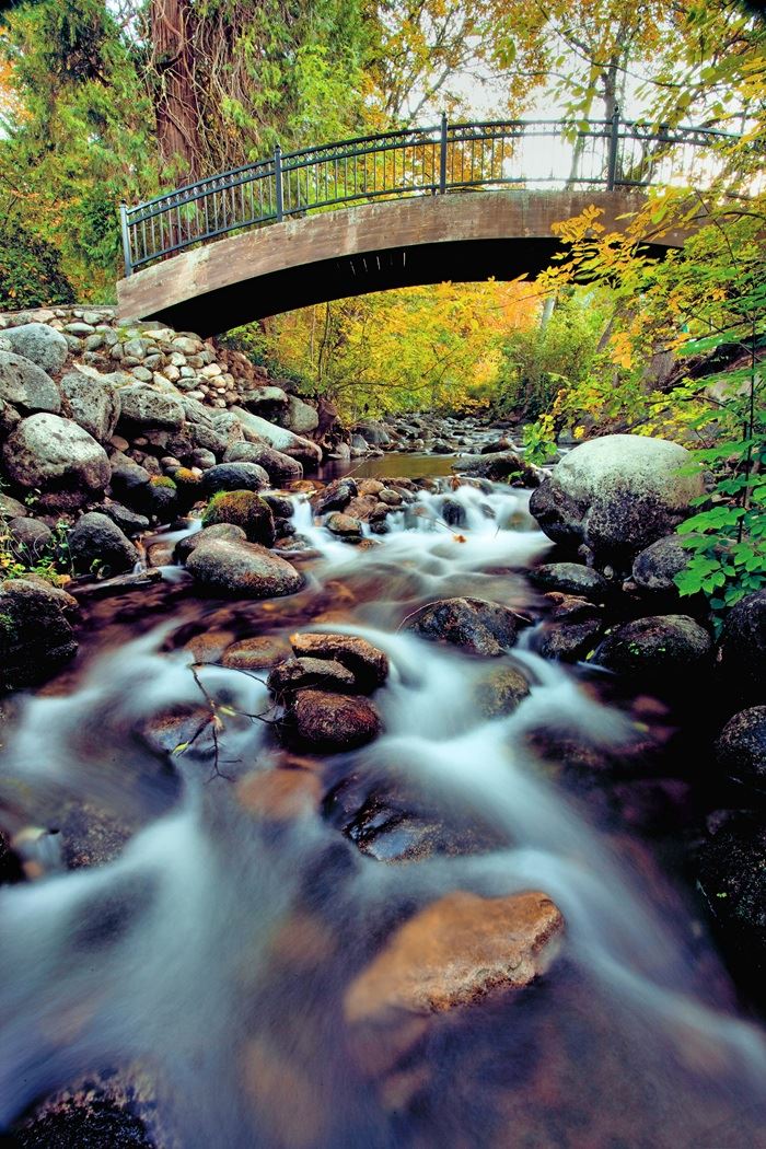 Arched Bridge over Ashland Creek, photo by Jeffrey McFarland