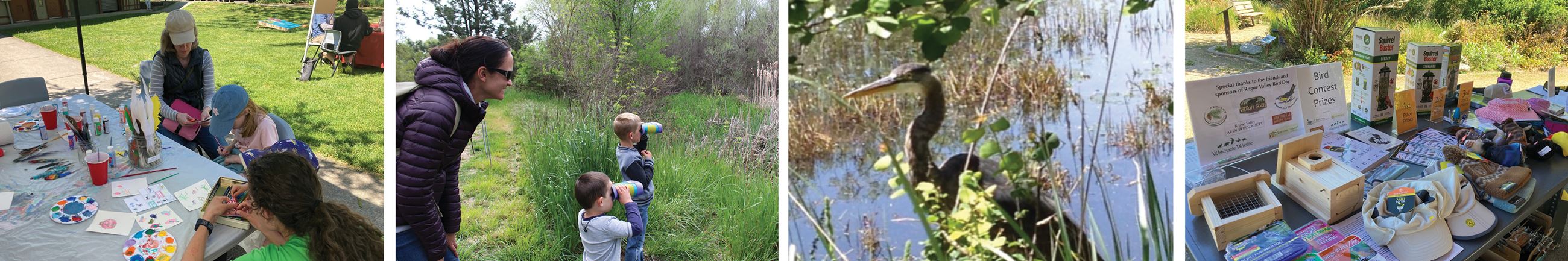 RVBD activity images