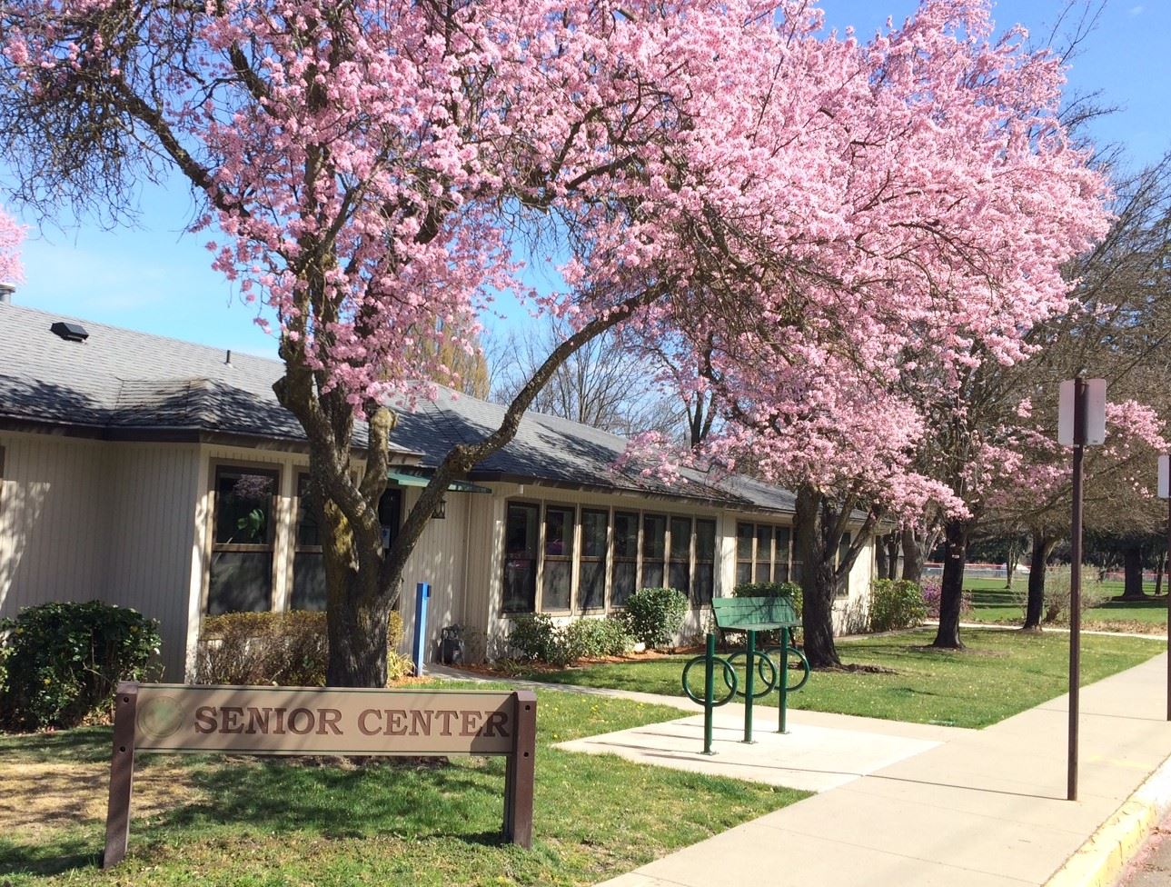 Senior Center_2022 blossoms