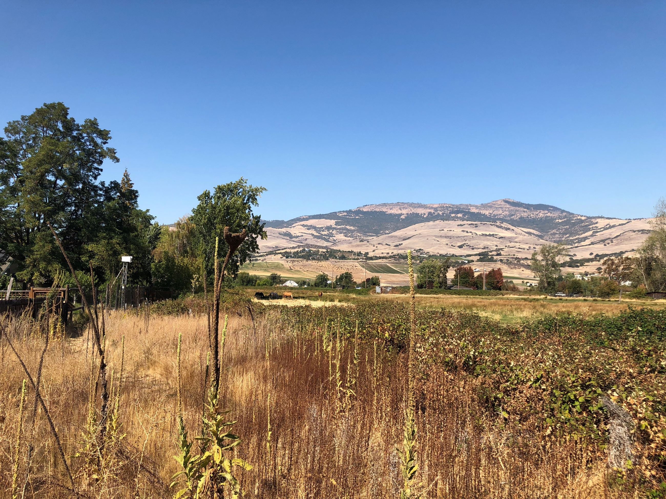 East Main Park property, circa 2018