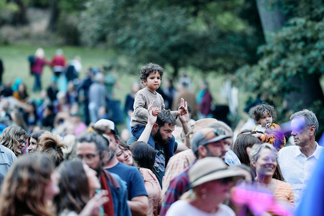 Crowd at an outdoor music venue 