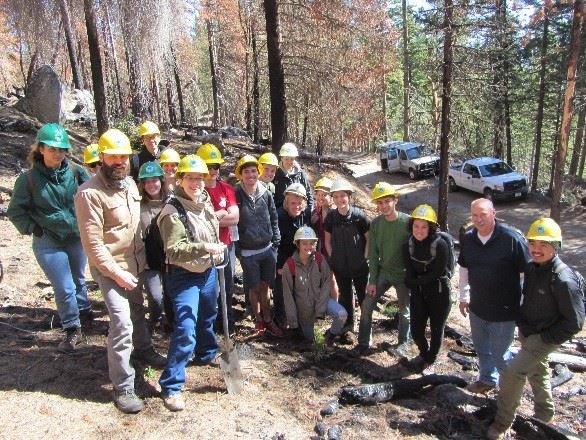 Don Boucher and Reed students posing after planting sugar pines