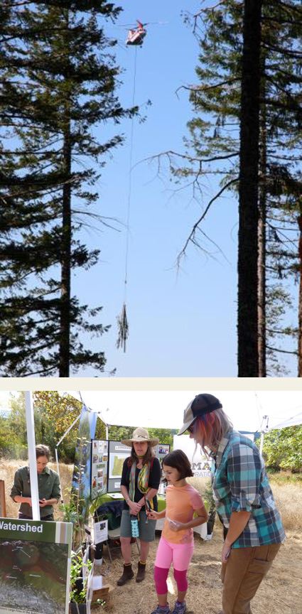 a helicopter hovering over a forest canopy; a booth at a community event