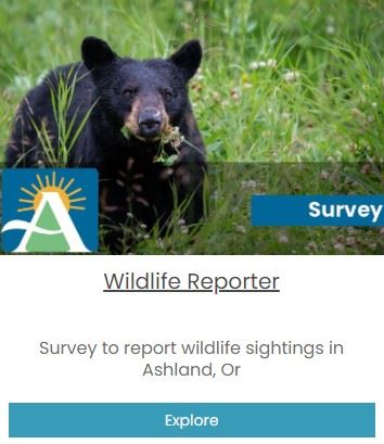 Wildlife Reporter App as seen in our Mapping Hub 