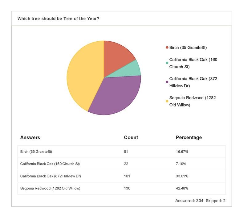 Tree of Year 2025 analytics