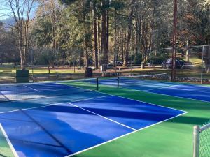 PickleballCourts_Lithia_1