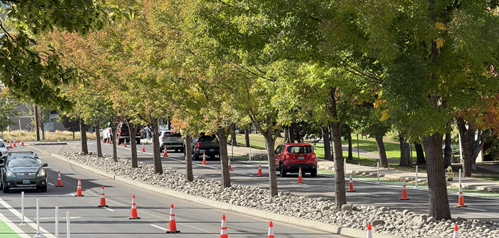 Rocks in median on a busy street