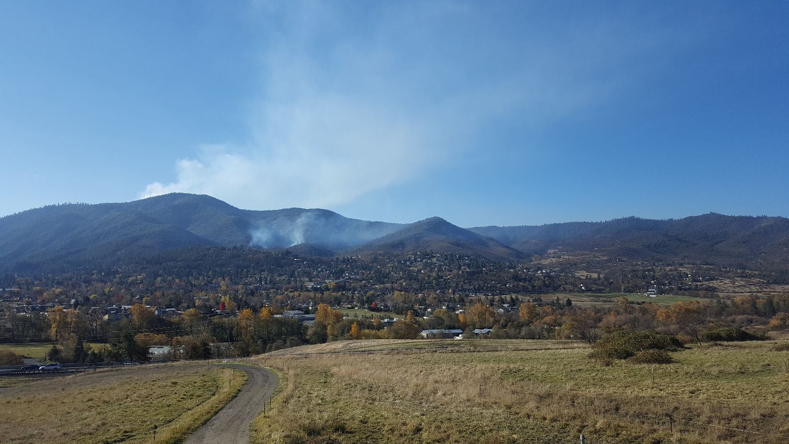 Smoke rising from forest area